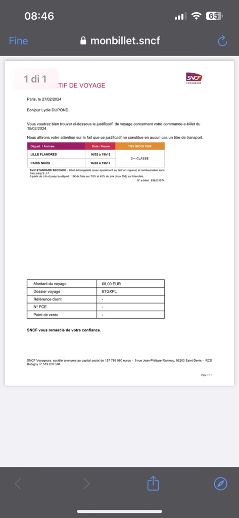 Schermata del documento di viaggio scaricato dall'applicazione SNCF Connect